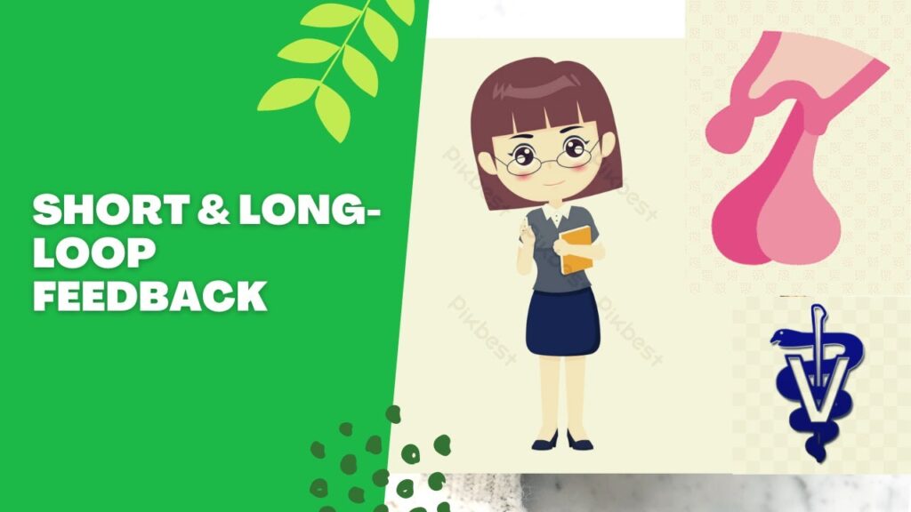 Tìm Hiểu Về Phim News 18K Hd Cách Chọn Lựa Và Phân Tích Hiệu Quả